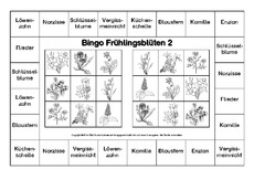 Bingo-Frühlingsblüten-2-SW.pdf